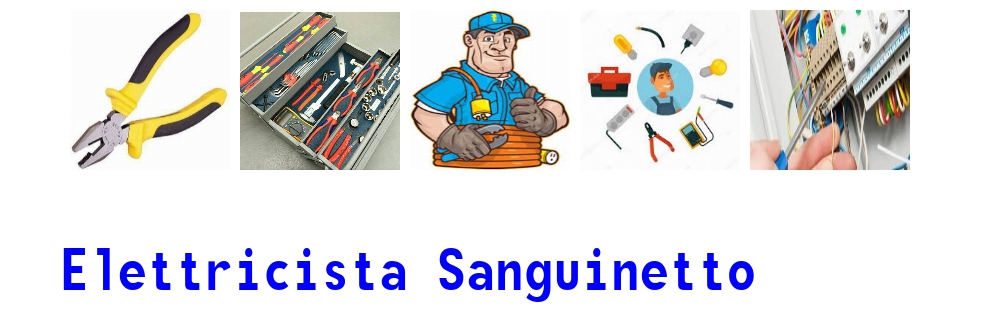 elettricista a Sanguinetto 4