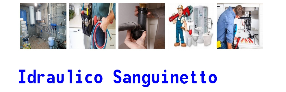 idraulico a Sanguinetto 2