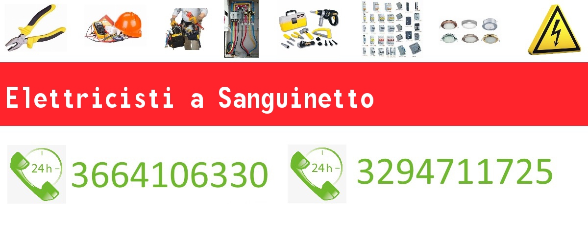 Elettricisti Sanguinetto