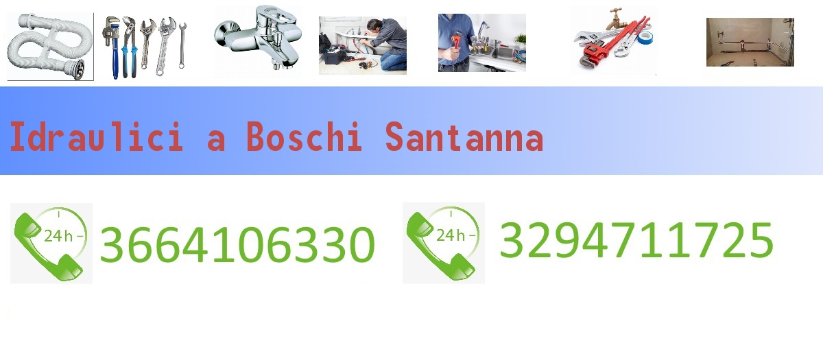 Idraulici Boschi Santanna