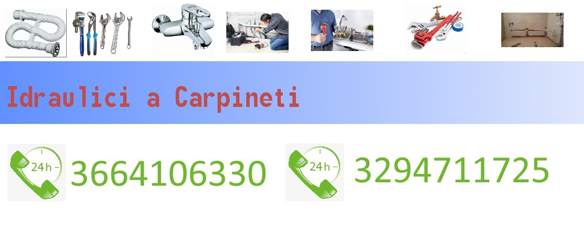 Idraulici Carpineti
